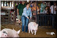 LCFair2016-2694.jpg