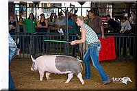 LCFair2016-2699.jpg