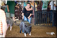 LCFair2016-2703.jpg