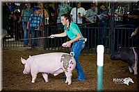 LCFair2016-2707.jpg