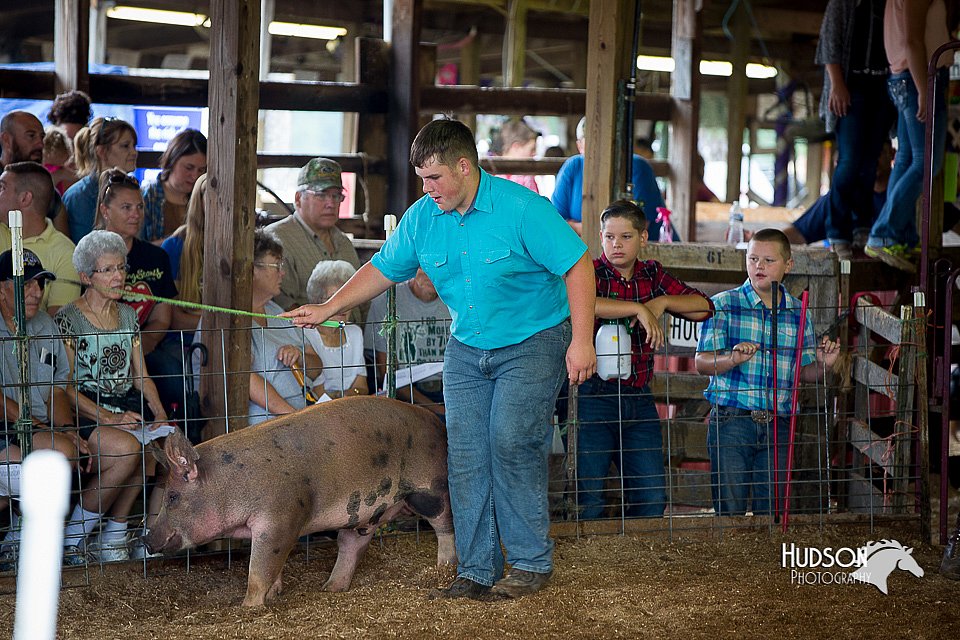 LCFair2016-2759.jpg