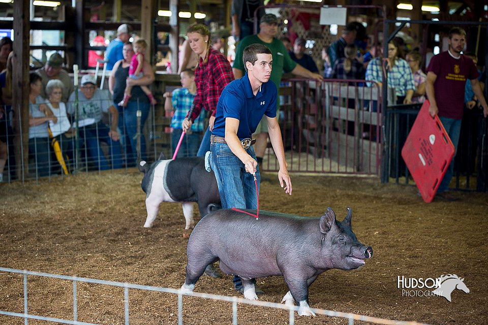LCFair2016-2780.jpg
