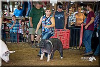 LCFair2016-2764.jpg