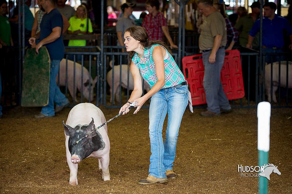 LCFair2016-2822.jpg
