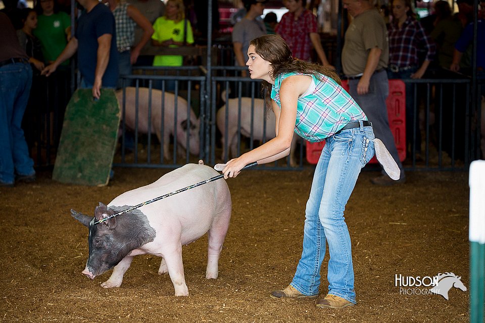 LCFair2016-2823.jpg
