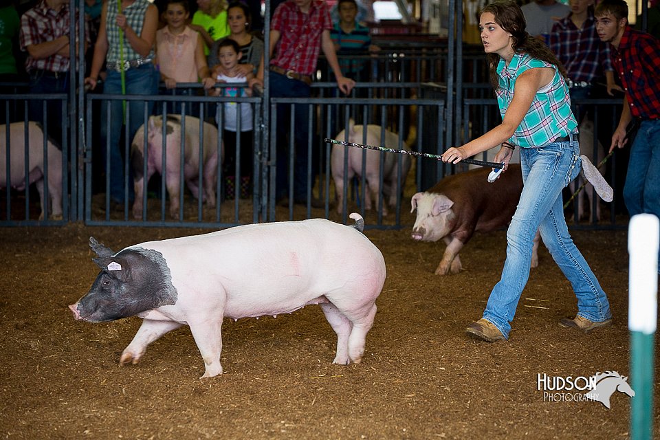 LCFair2016-2833.jpg