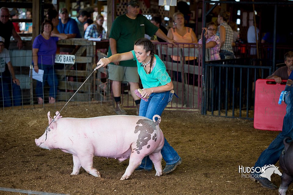 LCFair2016-2844.jpg