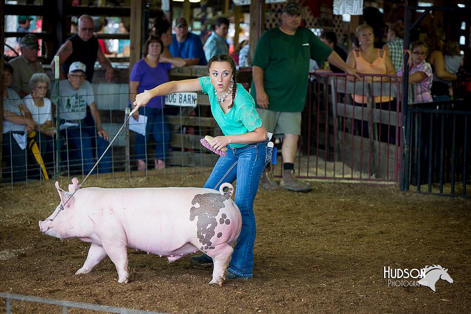 LCFair2016-2845.jpg
