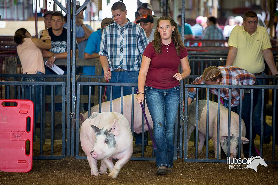 LCFair2016-2896.jpg