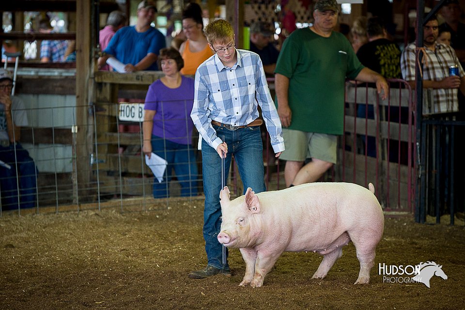 LCFair2016-2902.jpg