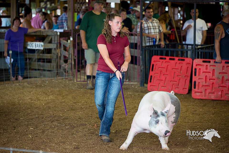 LCFair2016-2904.jpg