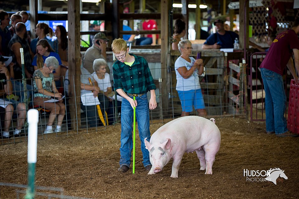 LCFair2016-2930.jpg