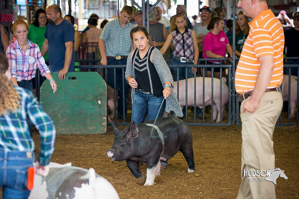 LCFair2016-2941.jpg