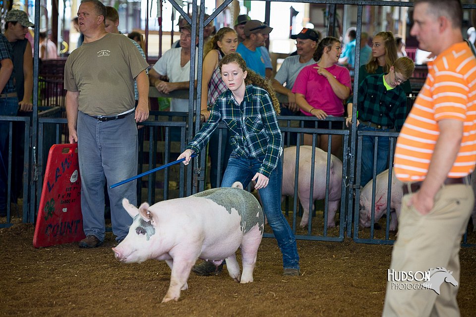 LCFair2016-2948.jpg