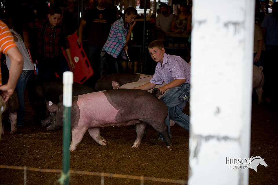 LCFair2016-2980.jpg