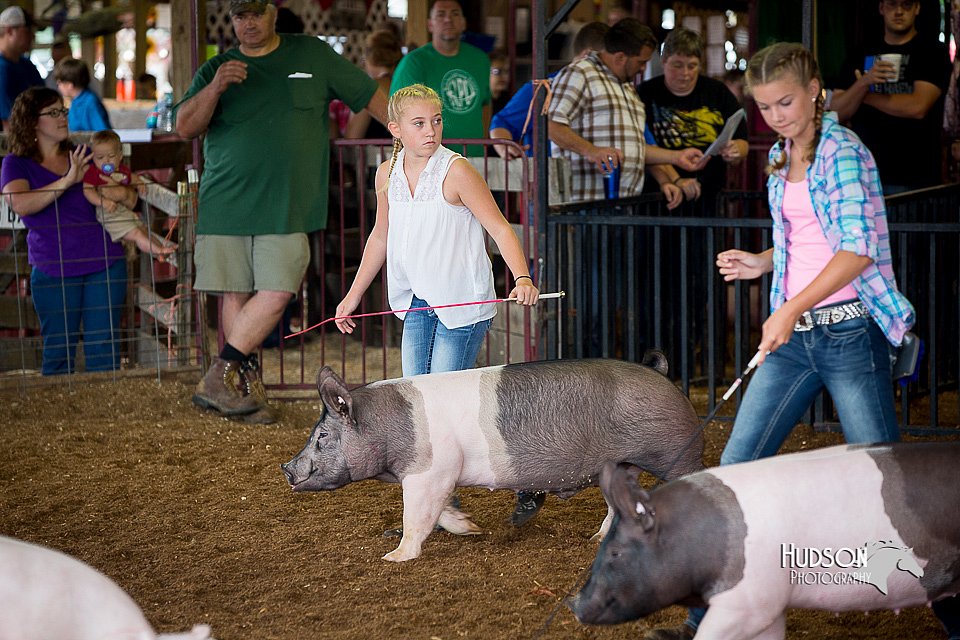 LCFair2016-2993.jpg