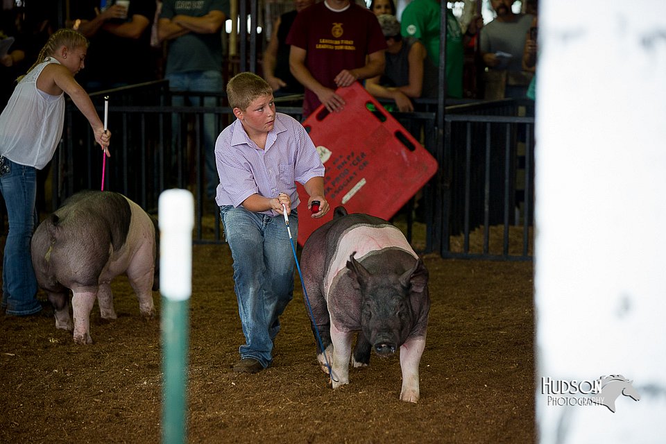 LCFair2016-2995.jpg