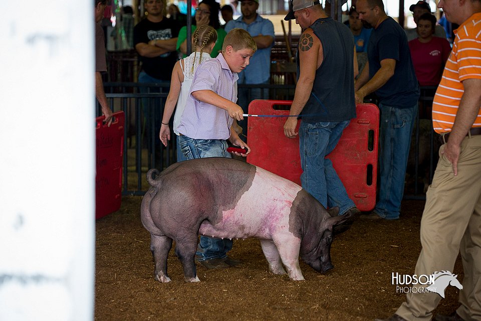 LCFair2016-2998.jpg