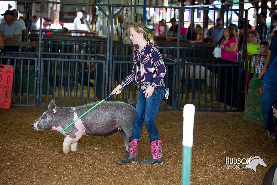 LCFair2016-3011.jpg