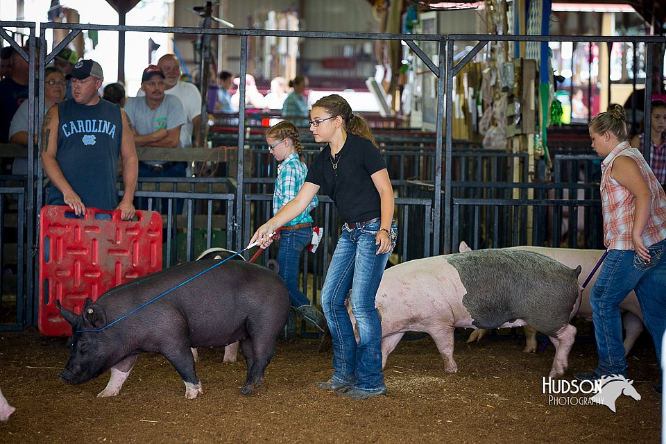 LCFair2016-3017.jpg