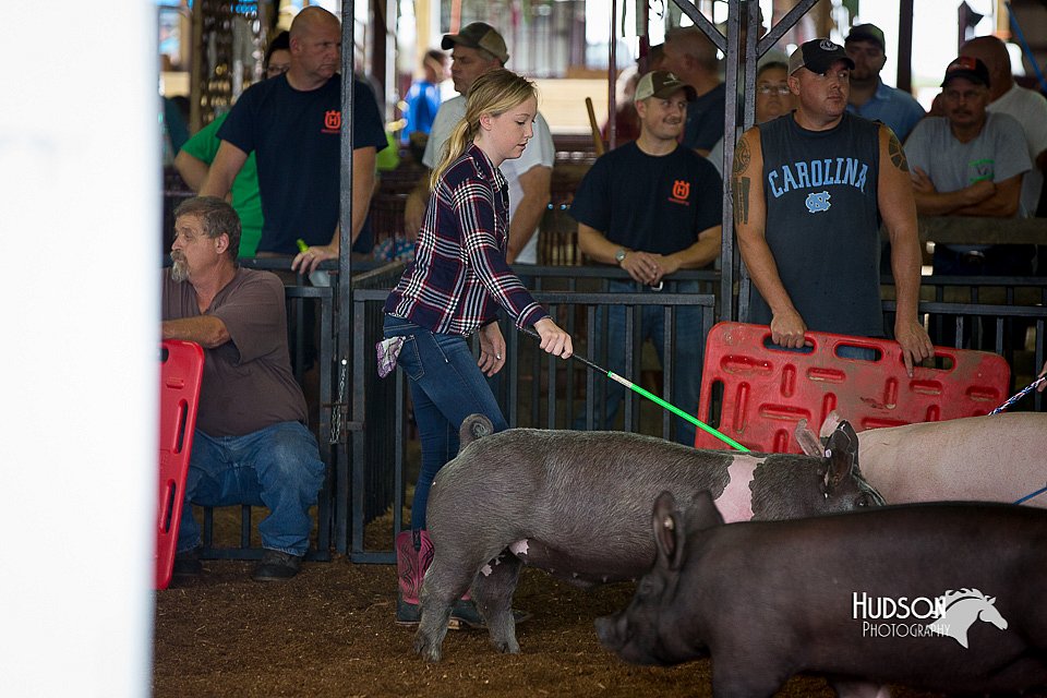 LCFair2016-3024.jpg