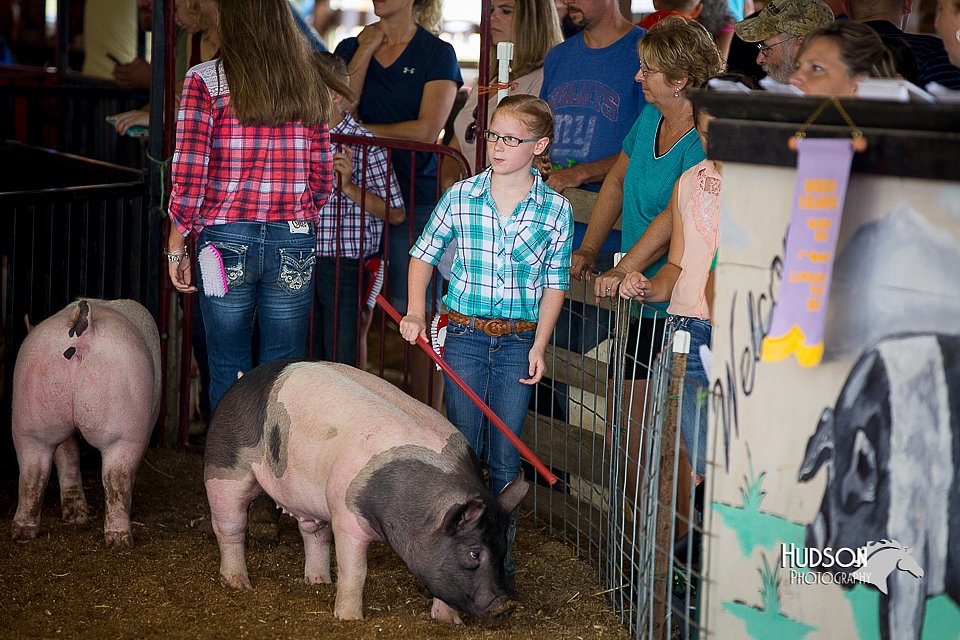 LCFair2016-3039.jpg