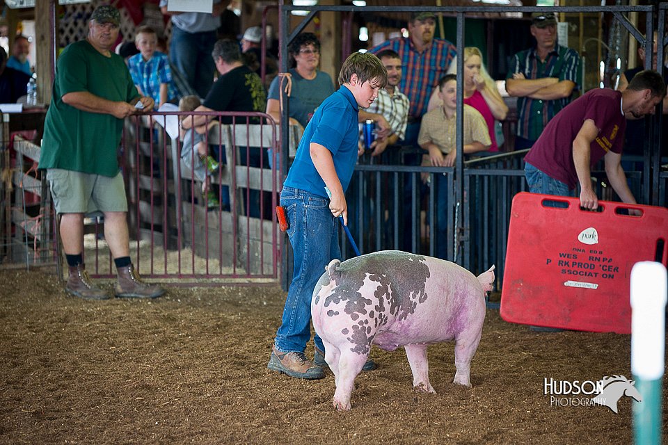 LCFair2016-3054.jpg