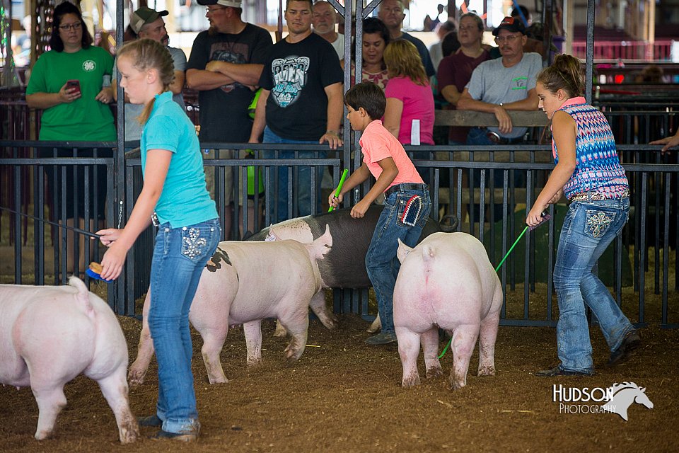 LCFair2016-3074.jpg