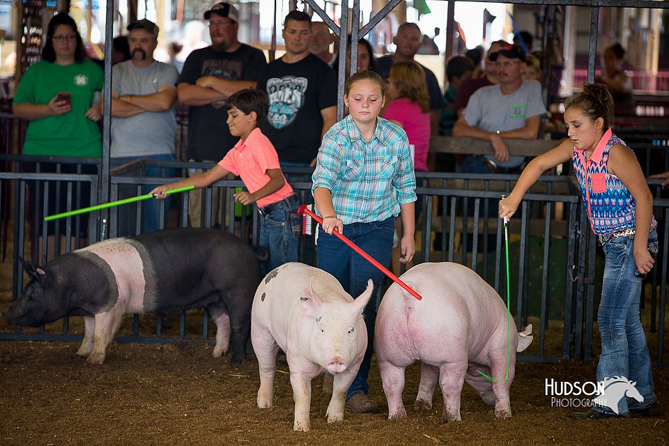LCFair2016-3076.jpg