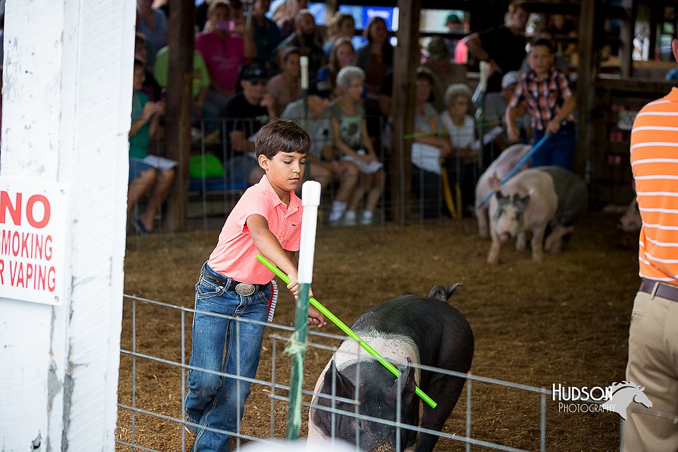 LCFair2016-3080.jpg