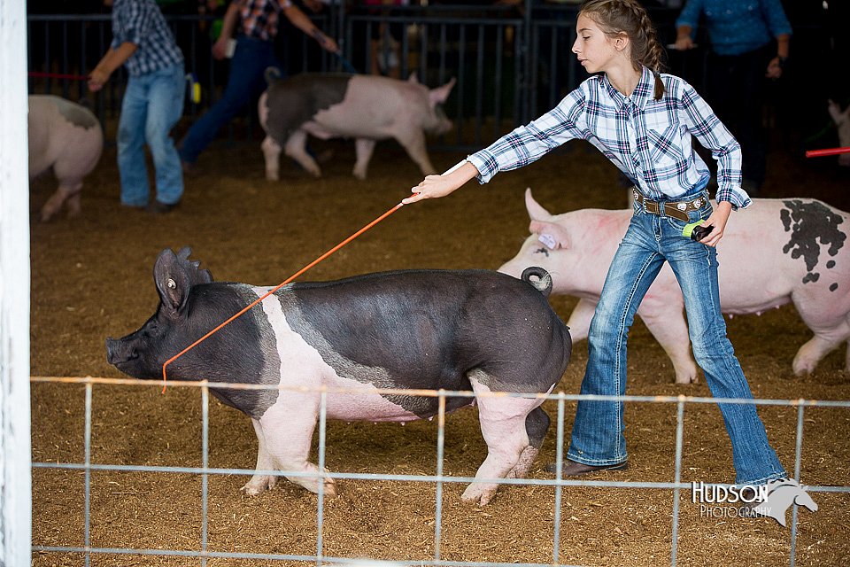 LCFair2016-3093.jpg