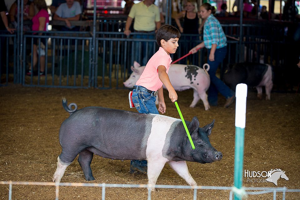LCFair2016-3096.jpg