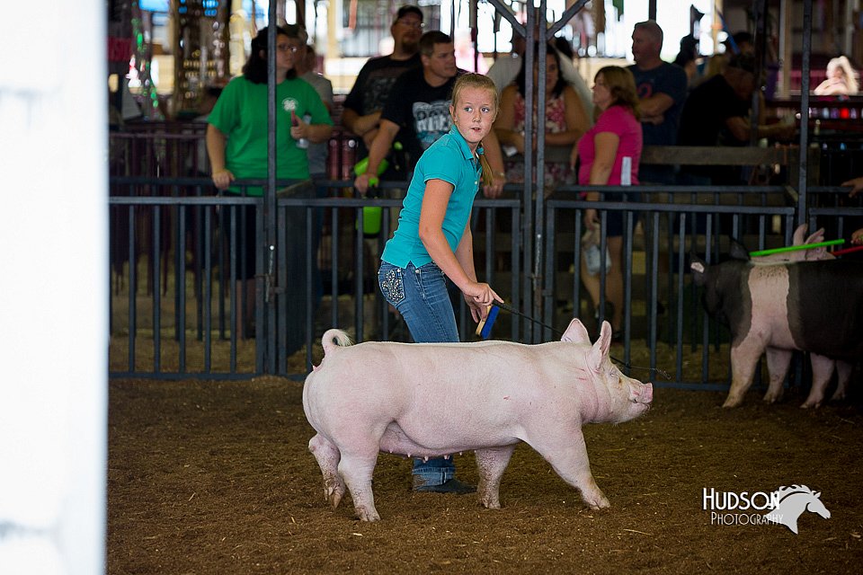 LCFair2016-3101.jpg