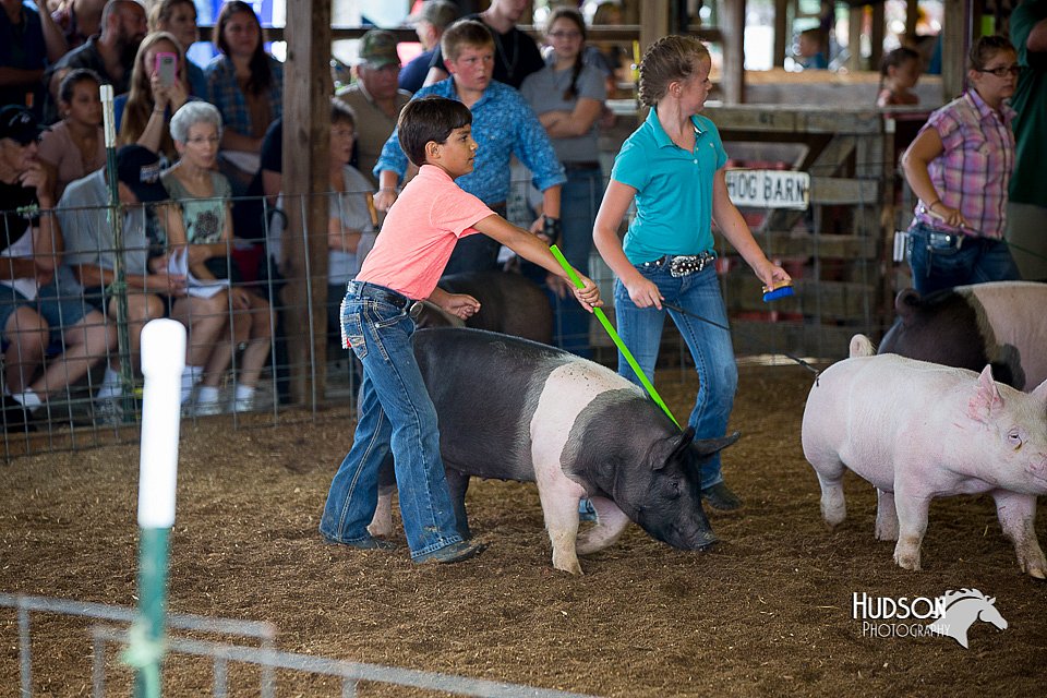 LCFair2016-3112.jpg