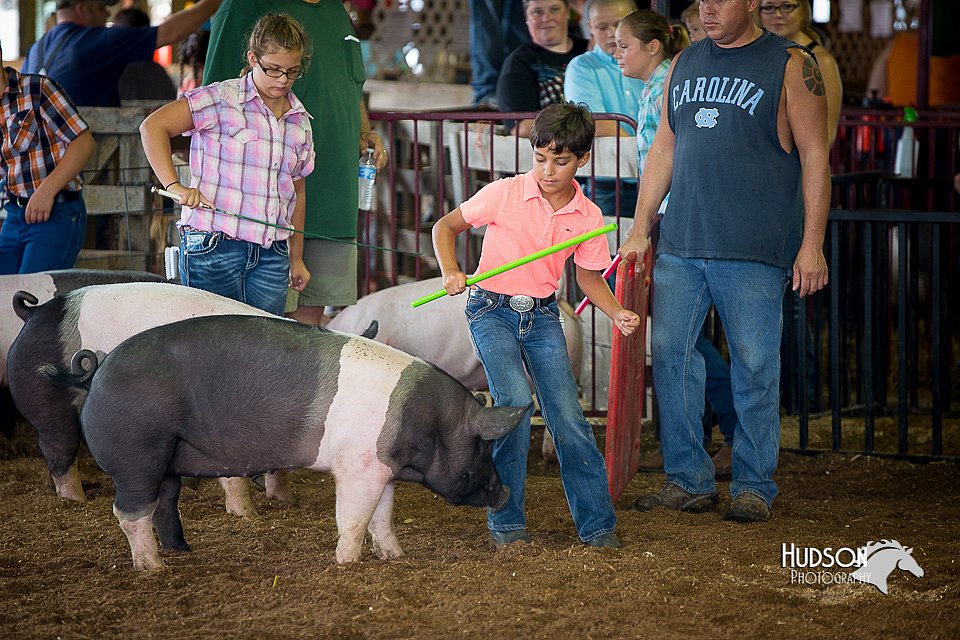 LCFair2016-3116.jpg