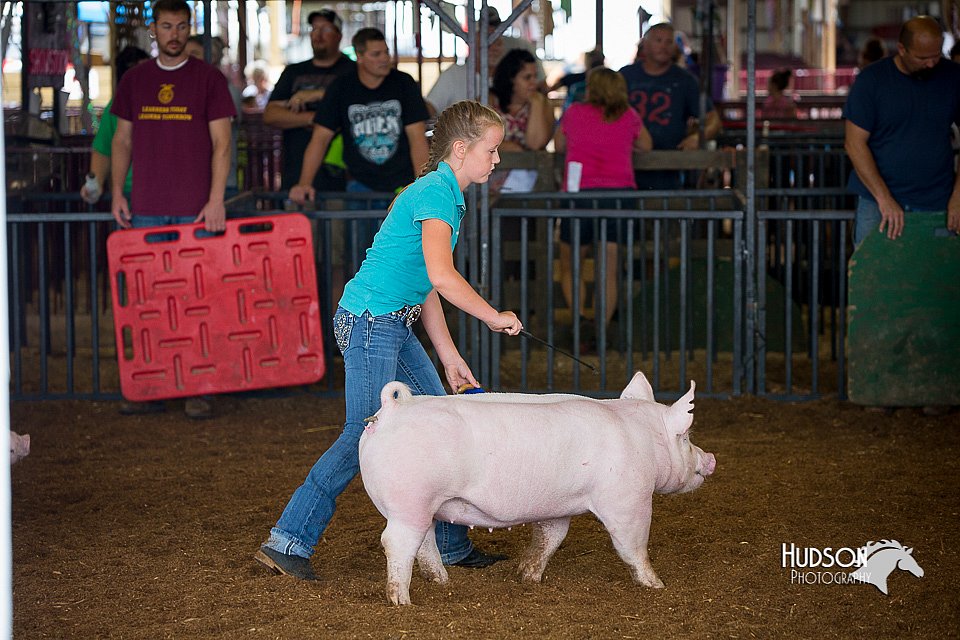 LCFair2016-3119.jpg