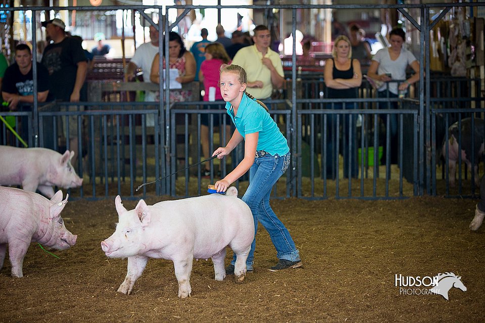 LCFair2016-3124.jpg