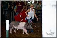 LCFair2016-2989.jpg