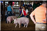 LCFair2016-3013.jpg
