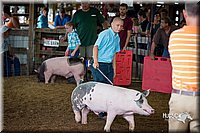 LCFair2016-3035.jpg