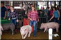 LCFair2016-3044.jpg