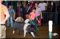 LCFair2016-3057.jpg
