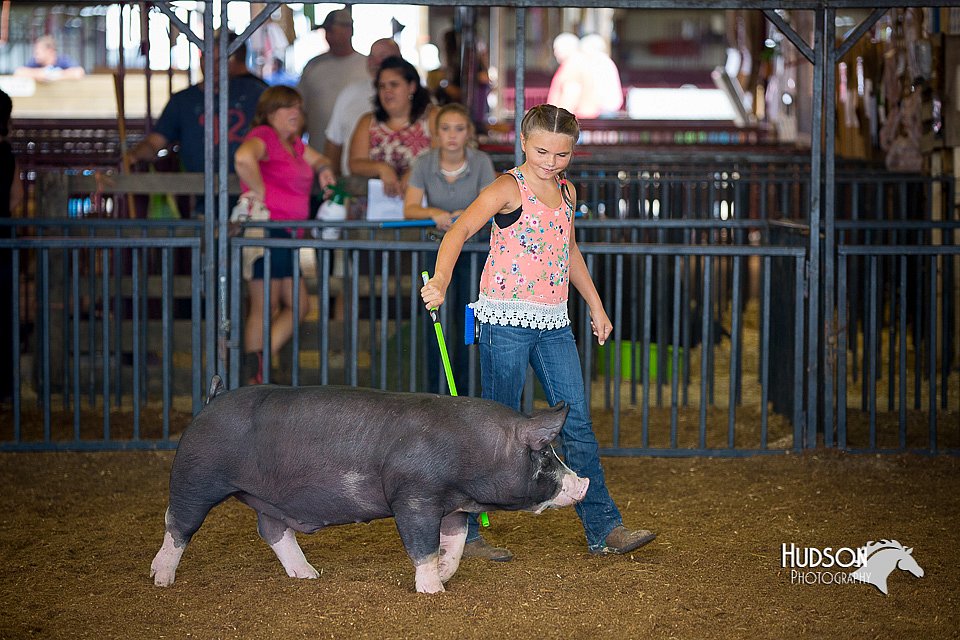 LCFair2016-3139.jpg