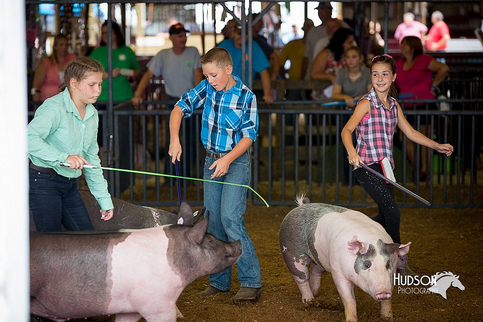 LCFair2016-3153.jpg