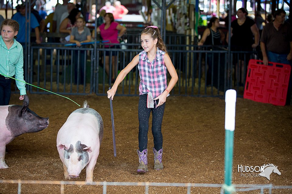 LCFair2016-3155.jpg