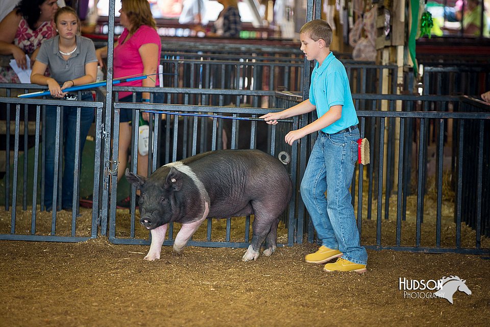 LCFair2016-3168.jpg