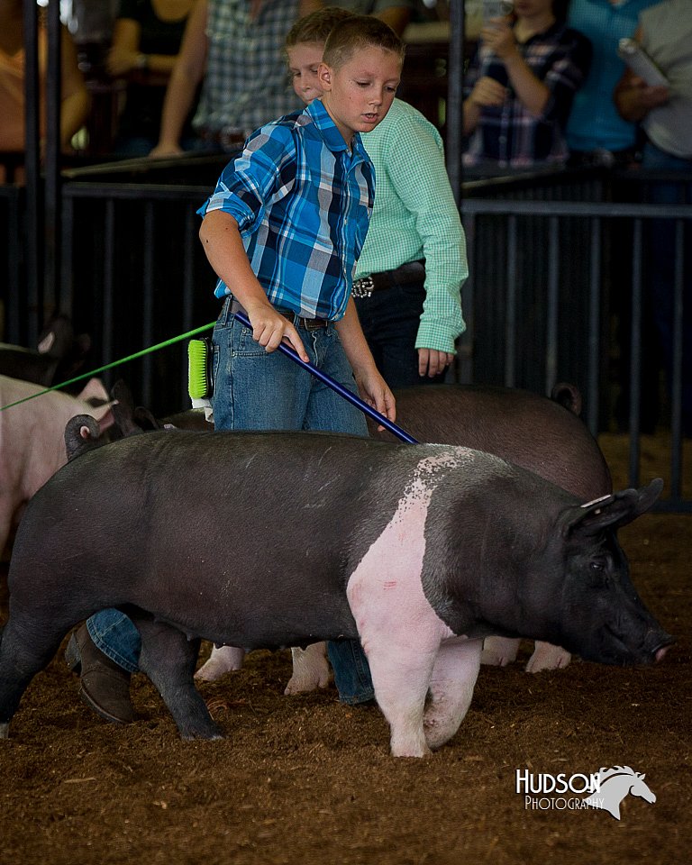 LCFair2016-3174.jpg