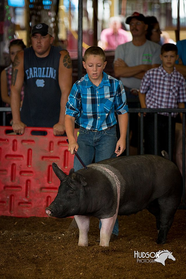 LCFair2016-3188.jpg