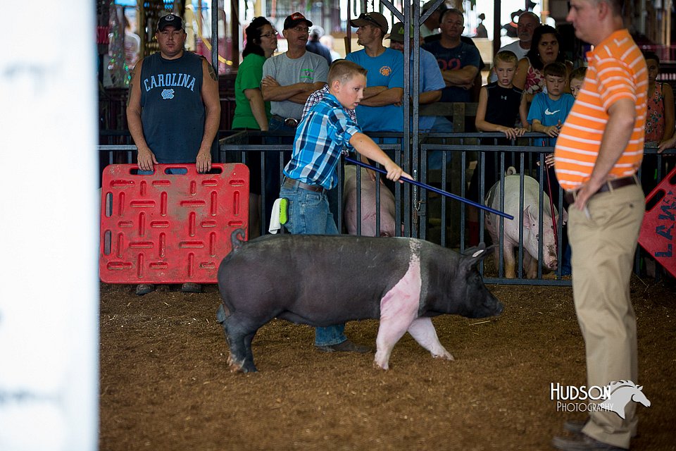 LCFair2016-3191.jpg