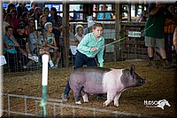 LCFair2016-3162.jpg